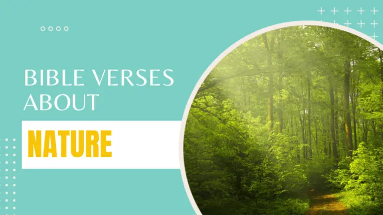 Bible verses about nature